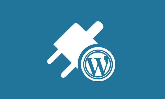 Custom Plugins & Extensions